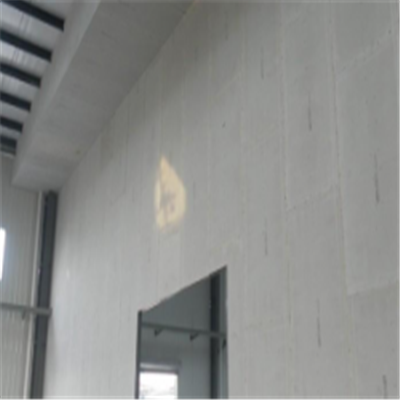 金溪宁波ALC板|EPS加气板隔墙与混凝土整浇联接的实验研讨